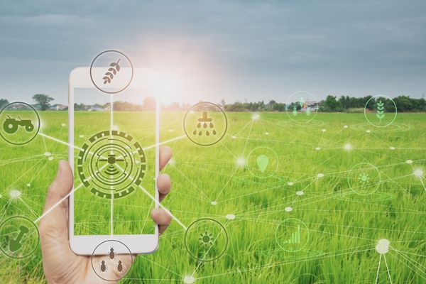 Gönen Pirinç Hasadında Stok ve Sevkiyat Takibi: Operasyonel Verimlilik Rehberi